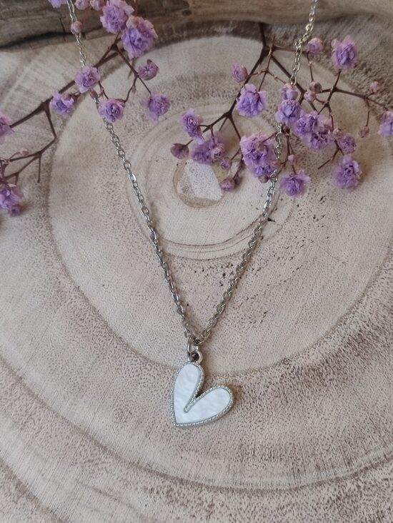 Collier en acier inox argenté et laiton réf.C373