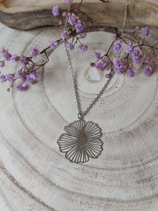 Collier en acier inox argenté réf.C827