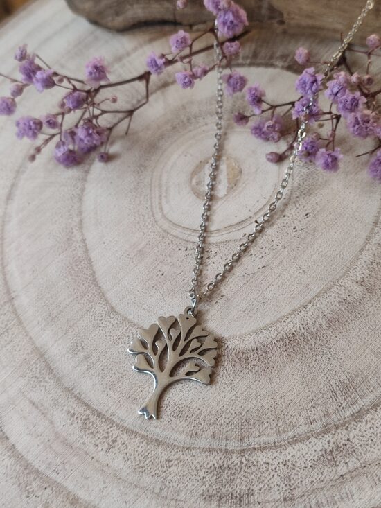 Collier en acier inox argenté réf.C928