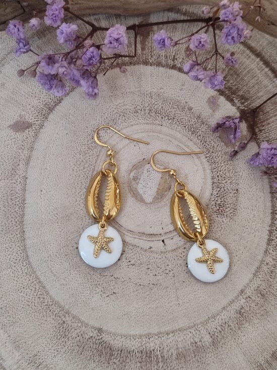 Boucles d'oreilles coquillages 🐚 acier 