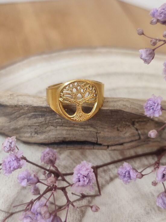Bague acier inoxydable réglable réf.B974