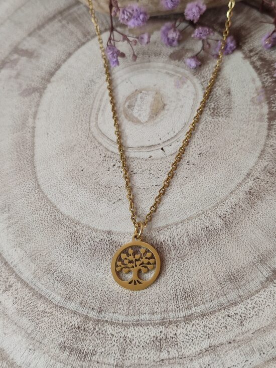 Collier en acier inoxydable doré 🌳 réf.C64