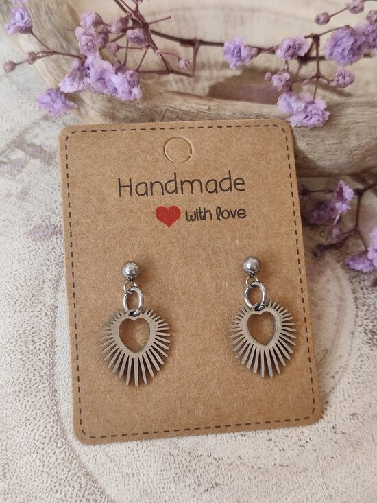 Boucles d'oreilles acier inoxydable argenté réf.B929 