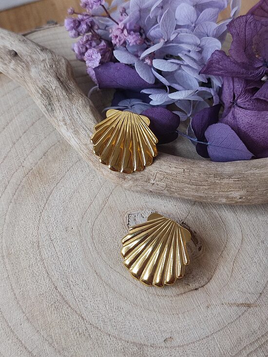 Clous/ puces d'oreilles coquillage 🤍 acier inox 