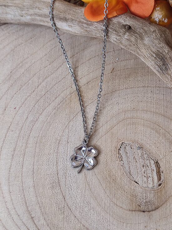 Collier en acier inoxydable argenté 🩶