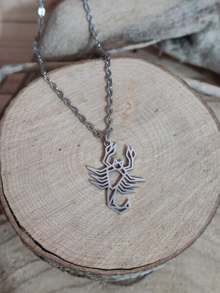 Chaîne en acier inox argenté et son pendentif scorpion 🦂 réf.C1153